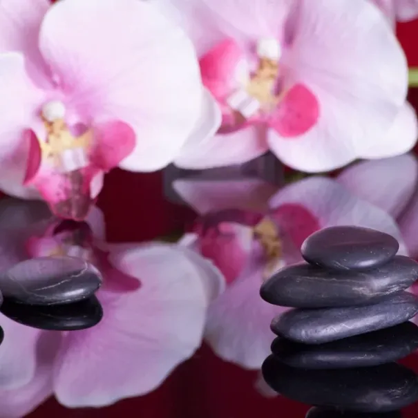 Wanna - Thaimassage - Bild 2 / 4