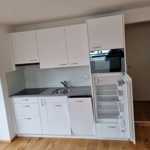 2,5 Zimmer-Wohnung in Sagogn(GR) - Bild 1 / 7