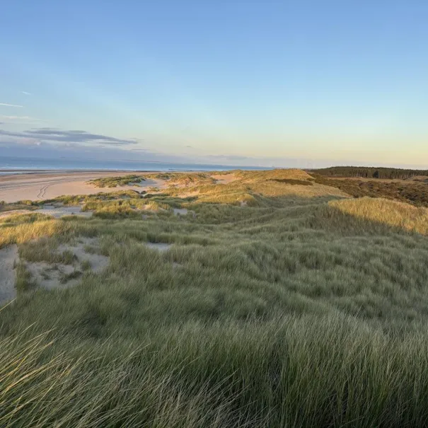 4P. Feha in NL, Zeeland zu mieten, sehr Strandnah - Bild 5 / 7