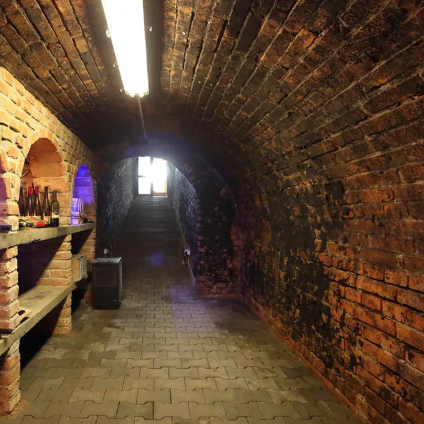 Anwesen mit Weinberg in Vinica-Preissenkung - Bild 5 / 8