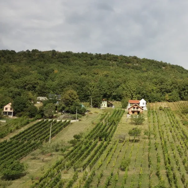 Anwesen mit Weinberg in Vinica-Preissenkung - Bild 1 / 8