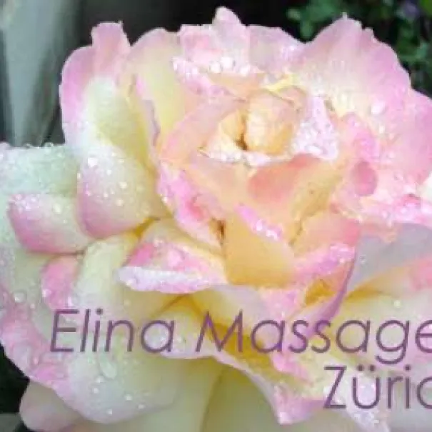 BElLIEBTE MASSAGE IN HORGEN - Bild 1 / 1
