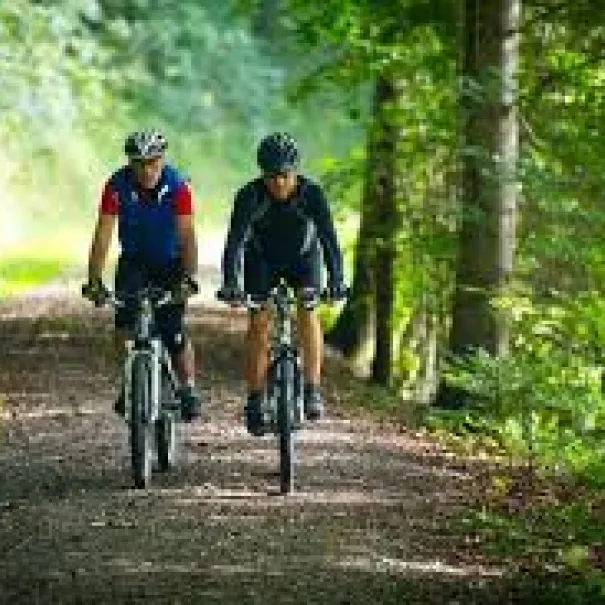 Bike&Sport Solution NEU Blau oder rot Modern TOP - Bild 4 / 10