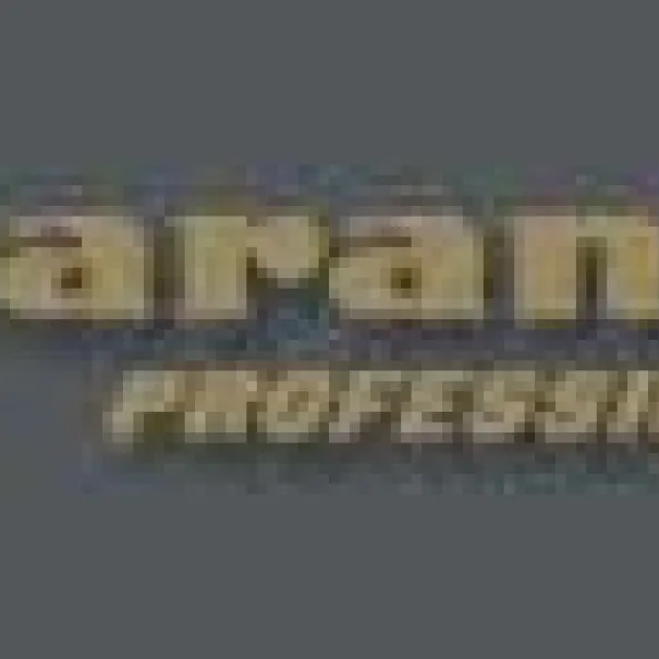 Blende Abdeckung  Lautsprecher MARANTZ 2x braun oc - Bild 6 / 14