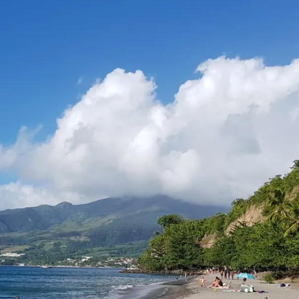Ferien-Anlage auf der Insel Martinique - Ihre Kapitalanlage - Bild 7 / 7