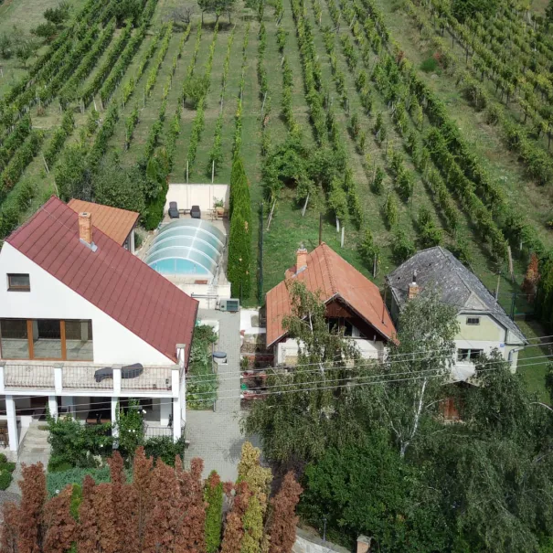 Haus mit Nebenhäusern in Vinica / Preissenkung - Bild 1 / 7