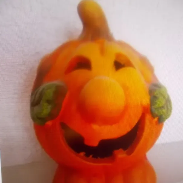 Kürbis - Bild 1 / 1