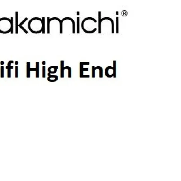 Nakamichi SSP 1 CD Radio Design Top Produkt of Sounds 350.- - Bild 2 / 11