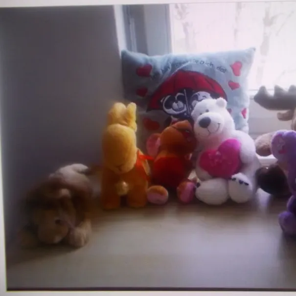 Stofftiere - Bild 1 / 1
