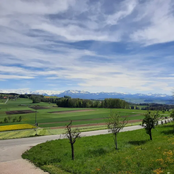 Wohnen im Grünen - Bild 1 / 5