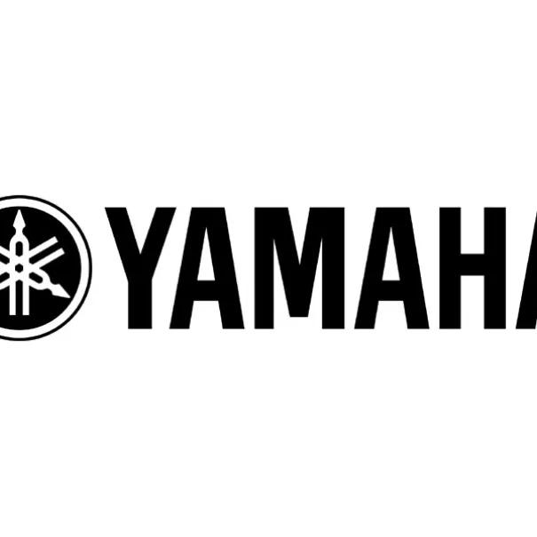 YAMAHA NS-ELC 5, 20 - 50 W 2 Stk. Satelliten-Lautsprecher - Bild 5 / 12