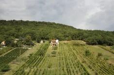 Anwesen mit Weinberg in Vinica-Preissenkung