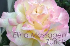 BElLIEBTE MASSAGE IN HORGEN