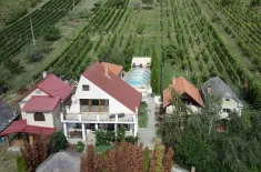 Haus mit Nebenhäusern in Vinica / Preissenkung