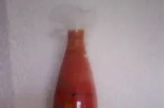 Kamel