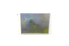 Welt Vasion 40 x 30 cm Alu sil...
